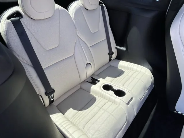 SEMINUEVOS TESLA Model X a Estados en autogozo