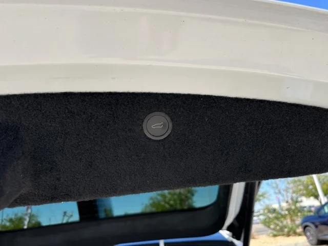 SEMINUEVOS TESLA Model X a Estados en autogozo