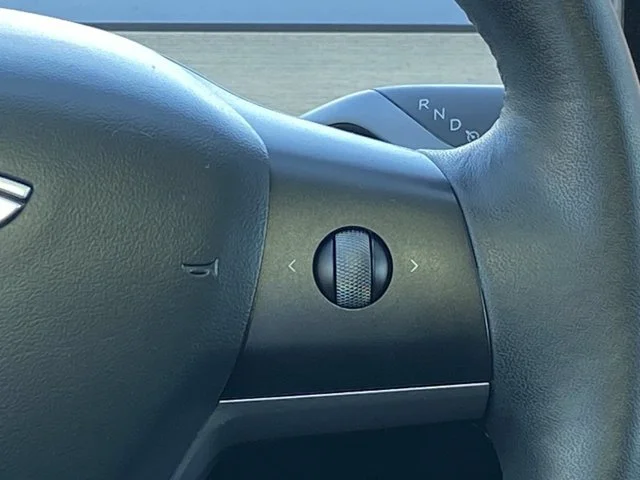 SEMINUEVOS TESLA Model Y a Estados en autogozo