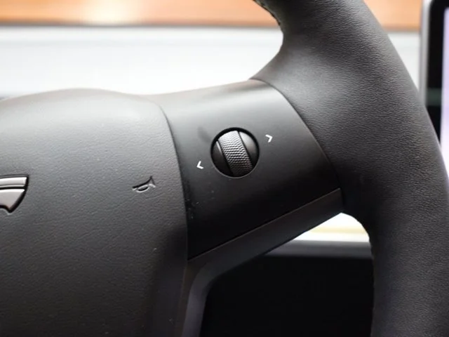 SEMINUEVOS TESLA Model Y a Estados en autogozo
