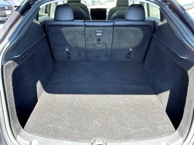 SEMINUEVOS TESLA Model Y a Estados en autogozo