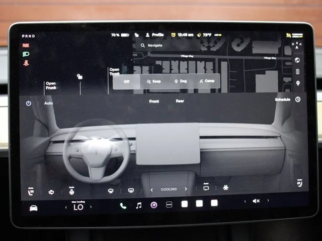 SEMINUEVOS TESLA Model Y a Estados en autogozo