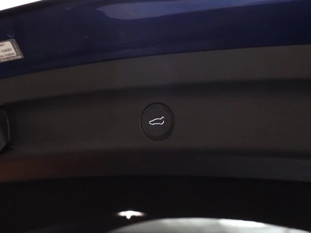 SEMINUEVOS TESLA Model Y a Estados en autogozo