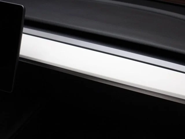 SEMINUEVOS TESLA Model Y a Estados en autogozo
