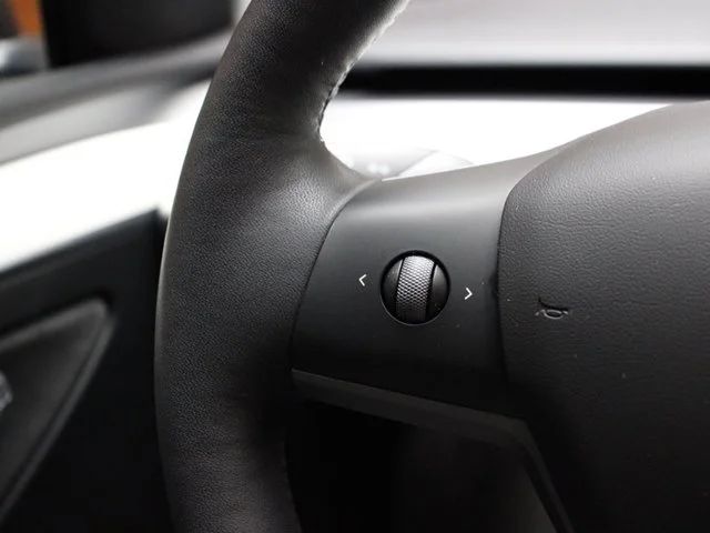 SEMINUEVOS TESLA Model Y a Estados en autogozo