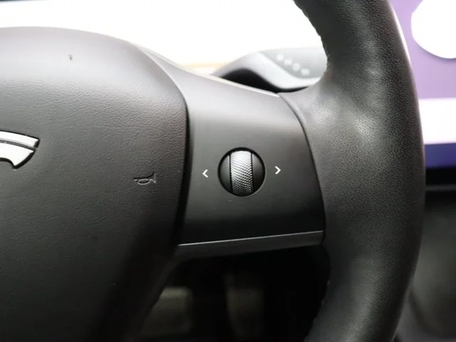 SEMINUEVOS TESLA Model Y a Estados en autogozo