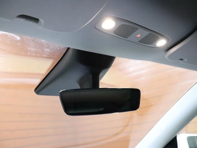 SEMINUEVOS TESLA Model Y a Estados en autogozo