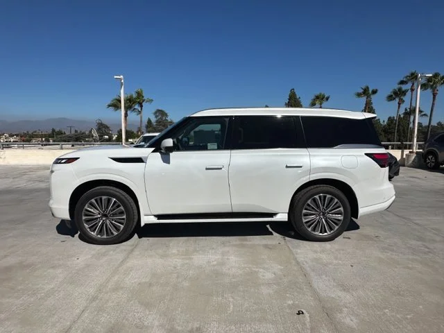 Nuevos INFINITI QX80 à Estados chez autogozo
