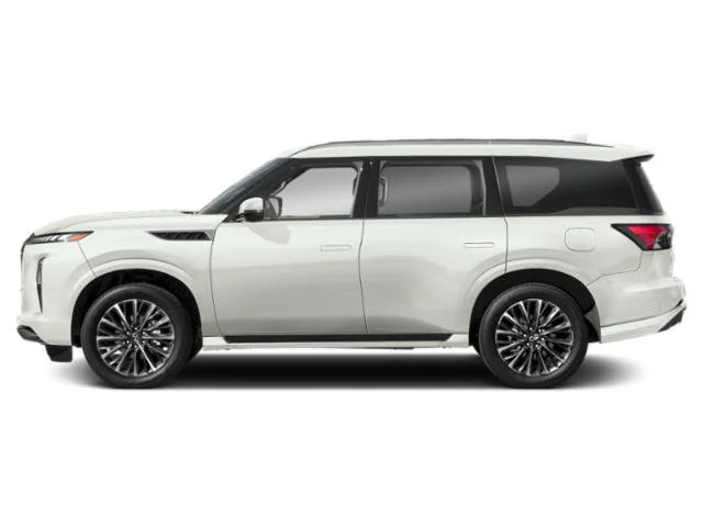 Nuevos INFINITI QX80 à Estados chez autogozo