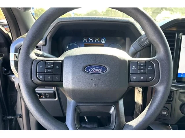 Nuevos FORD F-150 à Estados chez autogozo