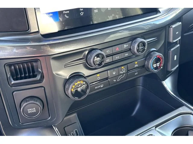 Nuevos FORD F-150 à Estados chez autogozo