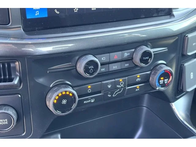 Nuevos FORD F-150 à Estados chez autogozo