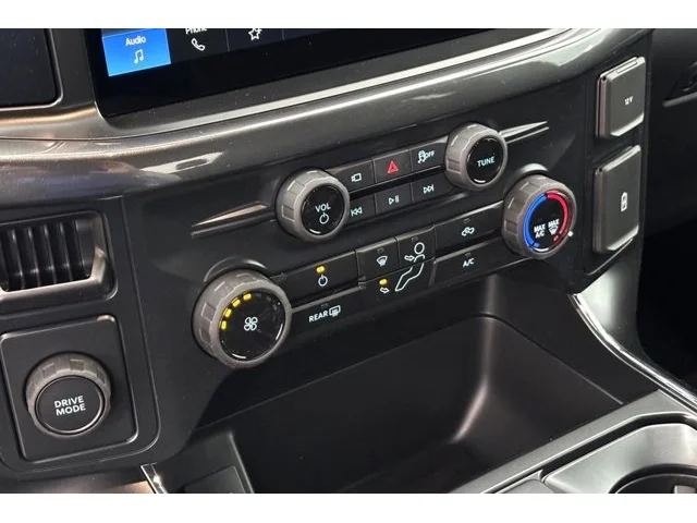 Nuevos FORD F-150 à Estados chez autogozo