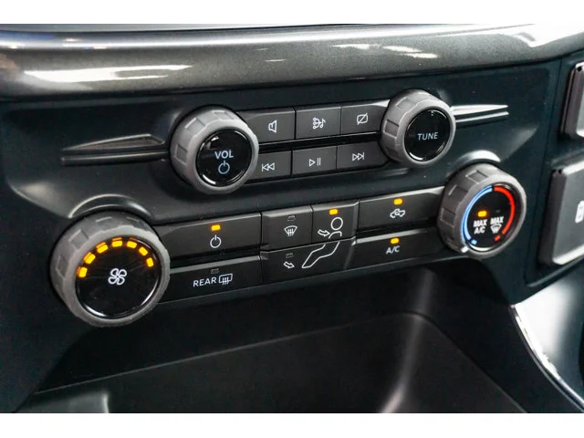 Nuevos FORD F-150 à Estados chez autogozo