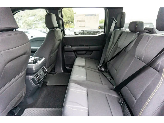 Nuevos FORD F-150 à Estados chez autogozo
