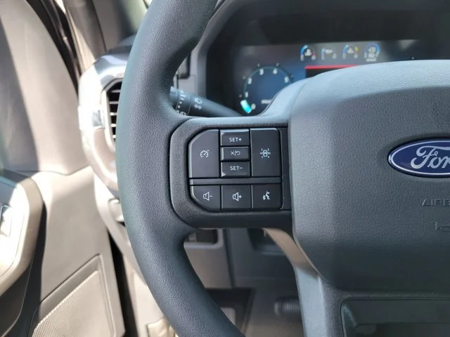 Nuevos FORD F-150 à Estados chez autogozo