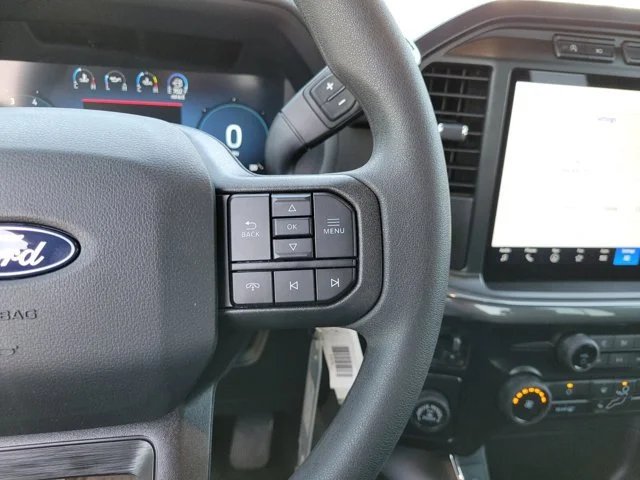Nuevos FORD F-150 à Estados chez autogozo