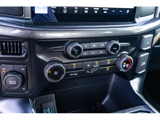 Nuevos FORD F-150 à Estados chez autogozo