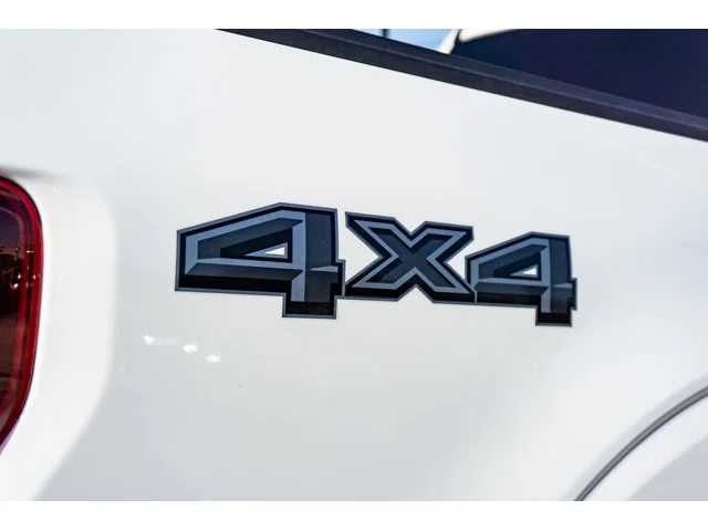 Nuevos FORD F-150 à Estados chez autogozo
