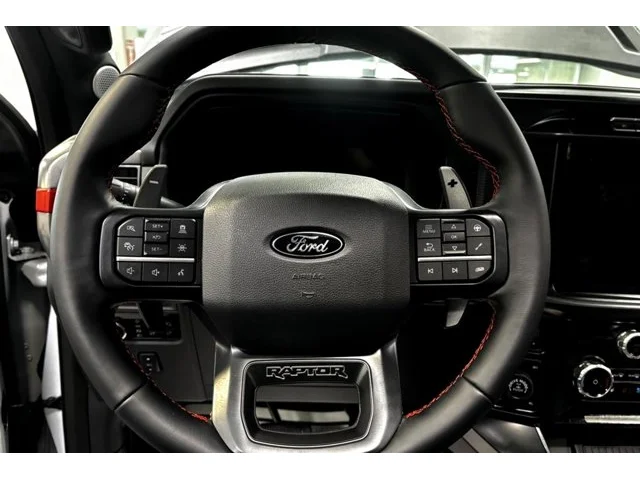 Nuevos FORD F-150 à Estados chez autogozo