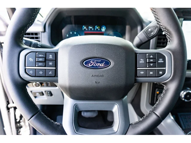 Nuevos FORD F-150 à Estados chez autogozo