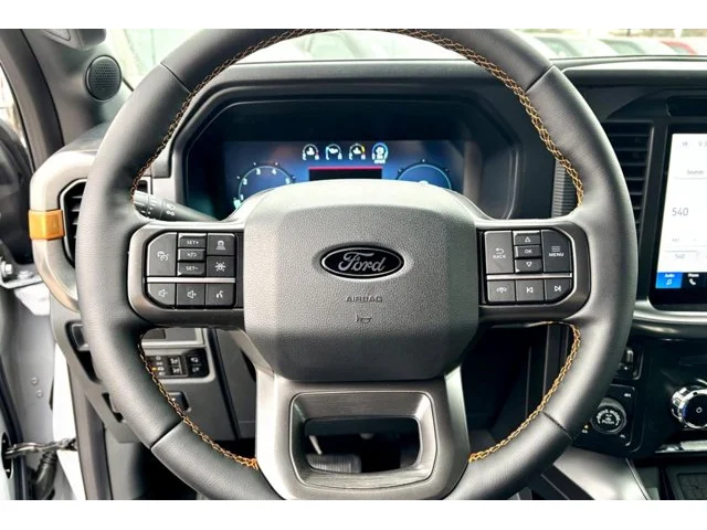 Nuevos FORD F-150 à Estados chez autogozo