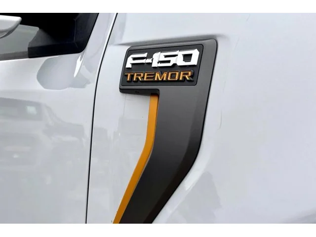 Nuevos FORD F-150 à Estados chez autogozo
