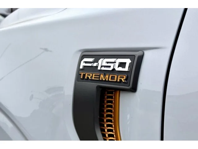 Nuevos FORD F-150 à Estados chez autogozo