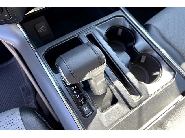 Nuevos FORD F-150 à Estados chez autogozo