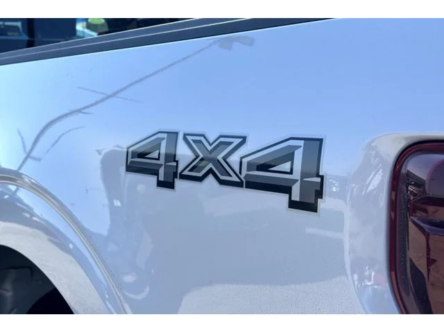 Nuevos FORD F-150 à Estados chez autogozo