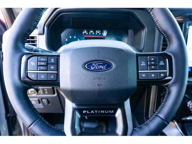 Nuevos FORD F-150 à Estados chez autogozo