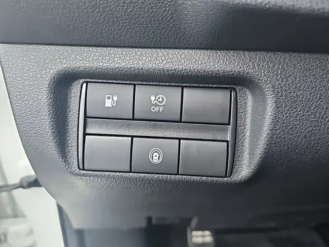SEMINUEVOS NISSAN LEAF a Estados en autogozo