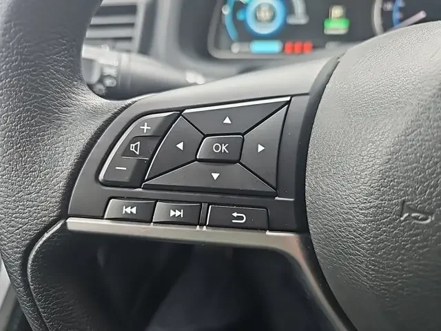 SEMINUEVOS NISSAN LEAF a Estados en autogozo
