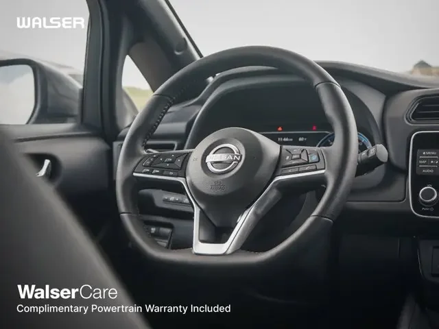 Nuevos NISSAN LEAF à Estados chez autogozo