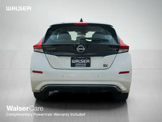 Nuevos NISSAN LEAF à Estados chez autogozo