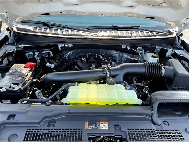 Nuevos FORD EXPEDITION à Estados chez autogozo