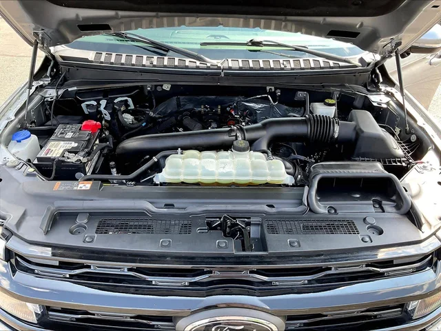 SEMINUEVOS FORD Expedition a Estados en autogozo