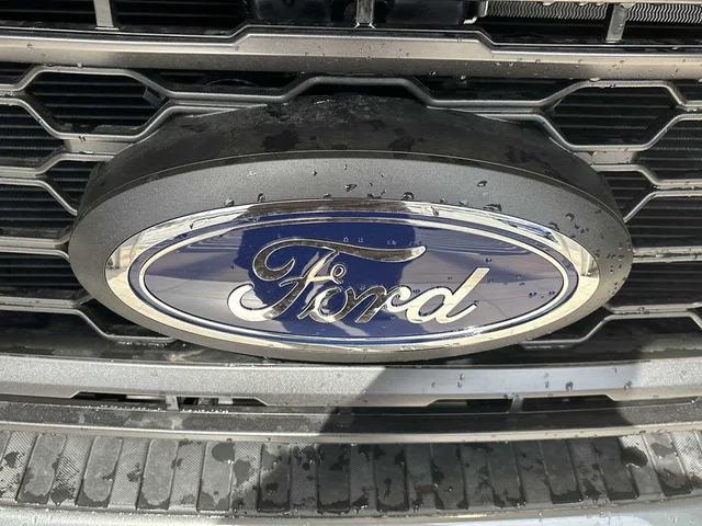 Nuevos FORD SUPER DUTY F-250 SRW à Estados chez autogozo