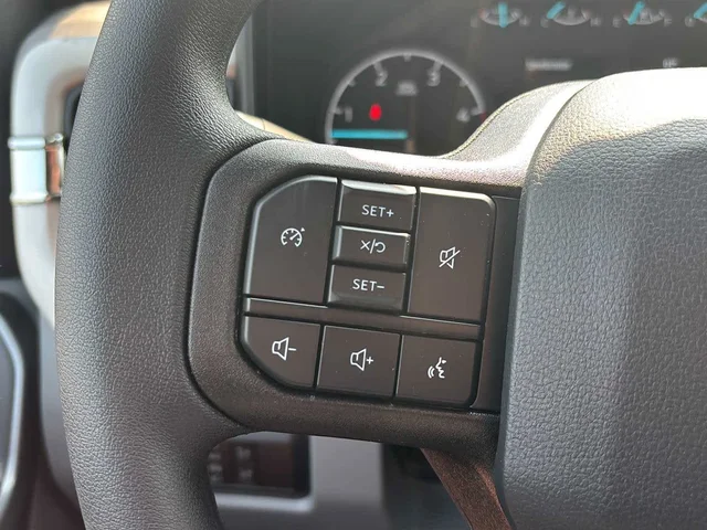 Nuevos FORD SUPER DUTY F-250 SRW à Estados chez autogozo