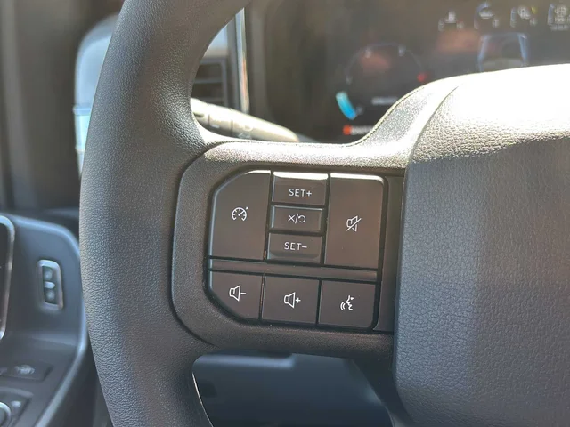 Nuevos FORD SUPER DUTY F-250 SRW à Estados chez autogozo