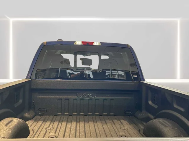 Nuevos FORD SUPER DUTY F-250 SRW à Estados chez autogozo