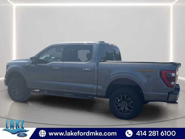 SEMINUEVOS FORD F-150 a Estados en autogozo