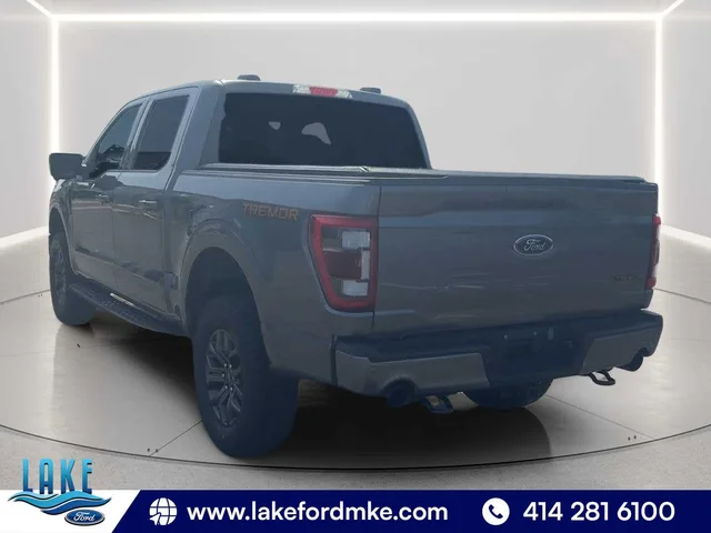 SEMINUEVOS FORD F-150 a Estados en autogozo