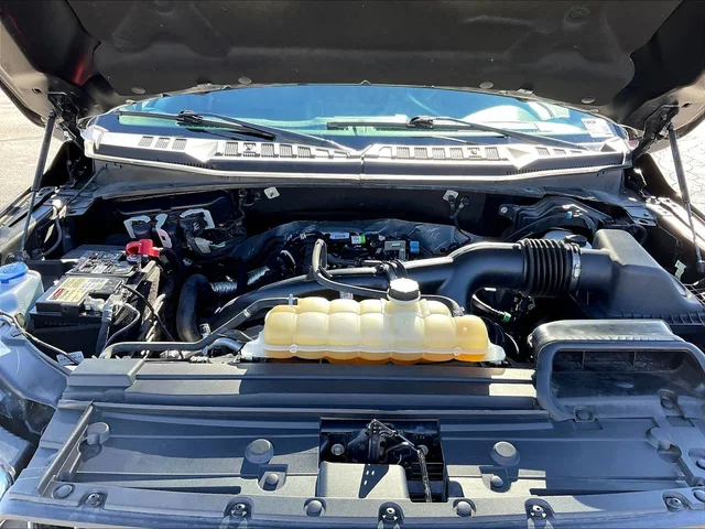 SEMINUEVOS FORD F-150 a Estados en autogozo