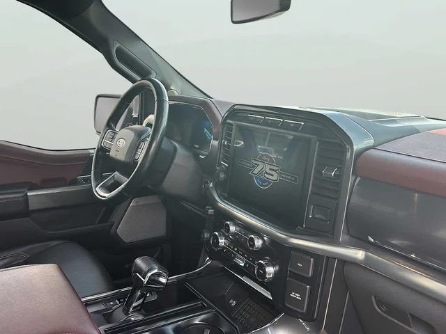 SEMINUEVOS FORD F-150 a Estados en autogozo