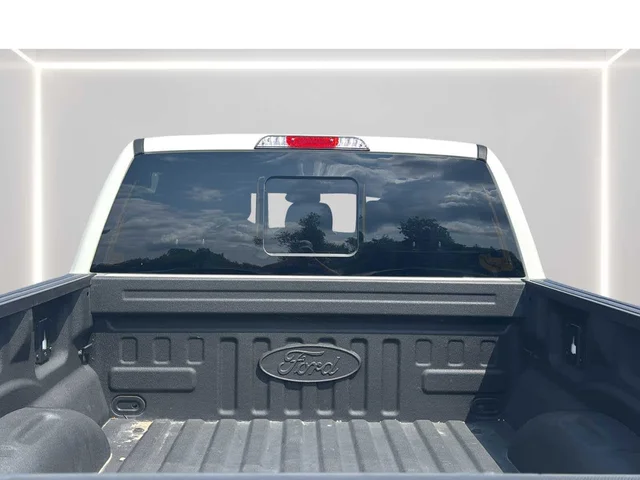 SEMINUEVOS FORD F-150 a Estados en autogozo