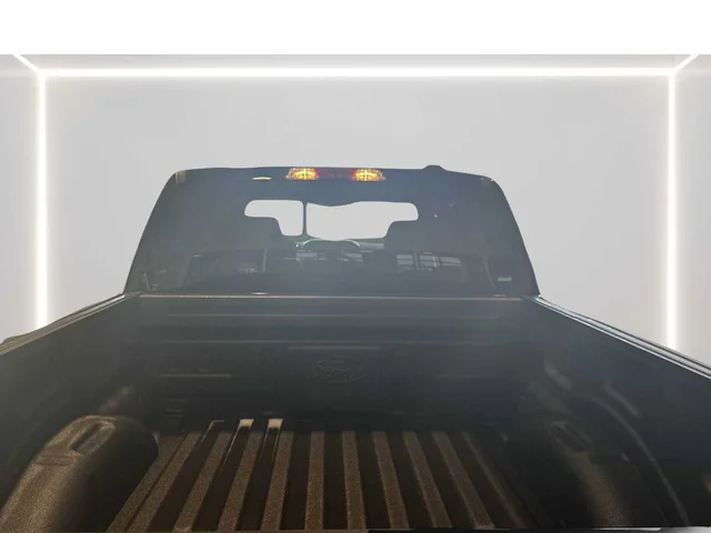 Nuevos FORD F-150 à Estados chez autogozo