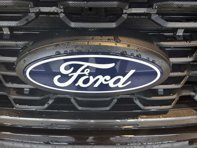 Nuevos FORD F-150 à Estados chez autogozo