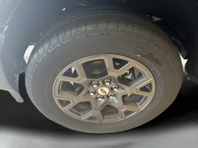 Nuevos FORD F-150 à Estados chez autogozo