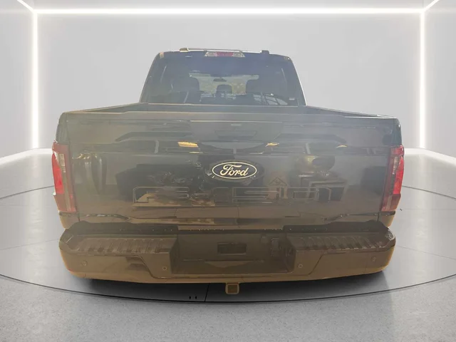 Nuevos FORD F-150 à Estados chez autogozo